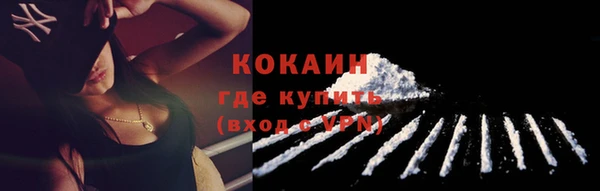 Альфа ПВП Верея