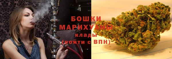 Альфа ПВП Верея
